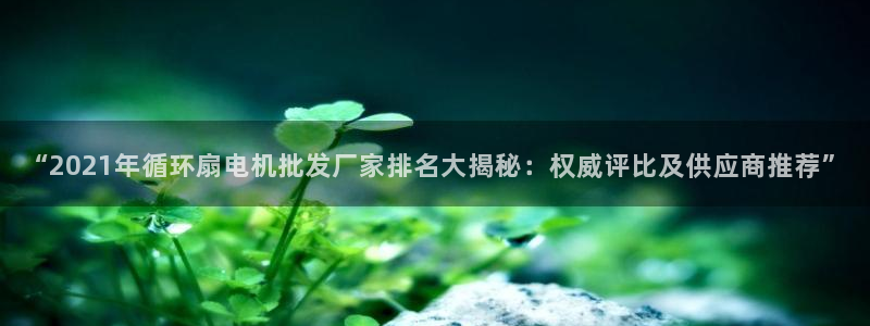 凯发注册网站：“2021年循环扇电机批发厂家排名大揭秘：权威评比及供应商推荐”