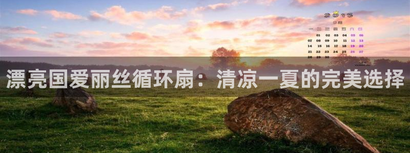 凯发k8娱乐平台下载：漂亮国爱丽丝循环扇：清凉一夏的完美选择