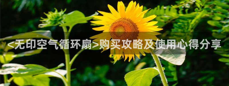 凯发官方手机app：<无印空气循环扇>购买攻略及使用心得分享