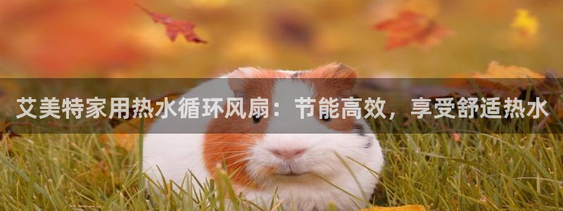 凯发一触即发：艾美特家用热水循环风扇：节能高效，享受舒适热水