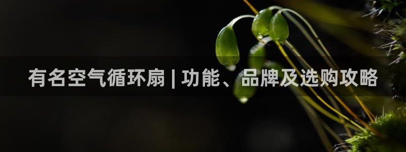 凯发国际是什么投资平台：有名空气循环扇 | 功能、品牌及选购攻略