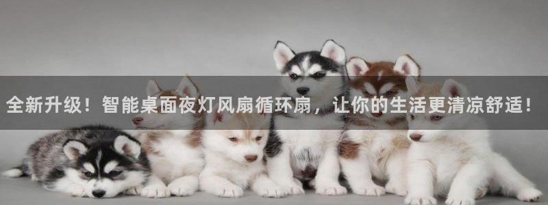 凯发k8旗舰厅app下载i来就送38元：全新升级！智能桌面夜灯风扇循环扇，让你的生活更清凉舒适！