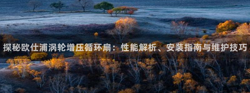凯发官网网址多少：探秘欧仕浦涡轮增压循环扇：性能解析、安装指南与维护技巧