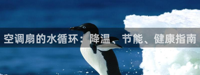 凯发k8娱乐官网旗舰厅：空调扇的水循环：降温、节能、健康指南