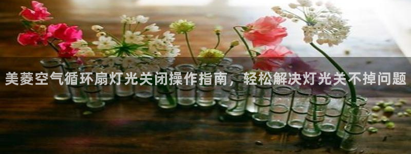 凯发k8555|手机版：美菱空气循环扇灯光关闭操作指南，轻松解决灯光关不掉问题