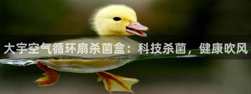 凯发线上app苹果版下载：大宇空气循环扇杀菌盒：科技杀菌，健康吹风