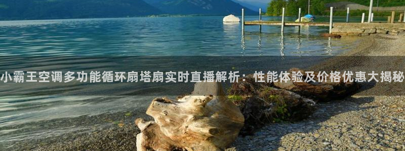凯发k8是真是假：小霸王空调多功能循环扇塔扇实时直播解析：性能体验及价格优惠大揭秘