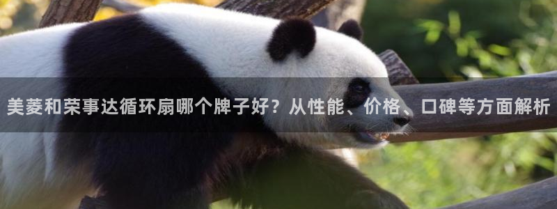 凯发旗舰厅登录免费下载：美菱和荣事达循环扇哪个牌子好？从性能、价格、口碑等方面解析