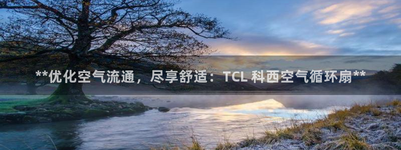 凯发娱乐官方网：**优化空气流通，尽享舒适：TCL 科西空气循环扇**