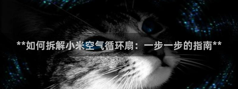 凯发国际k8官网登录：**如何拆解小米空气循环扇：一步一步的指南**
