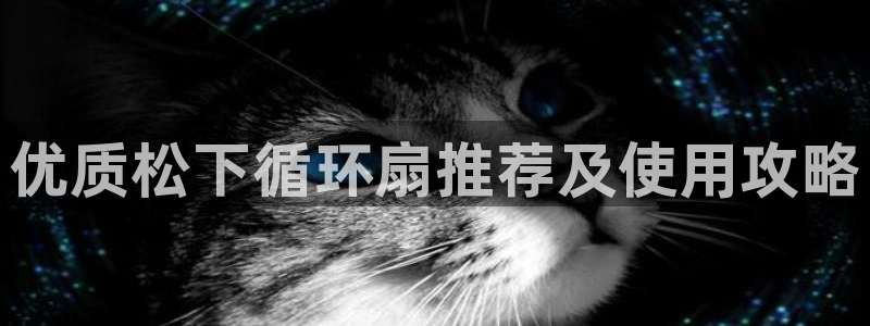 凯发k8手机网页：优质松下循环扇推荐及使用攻略