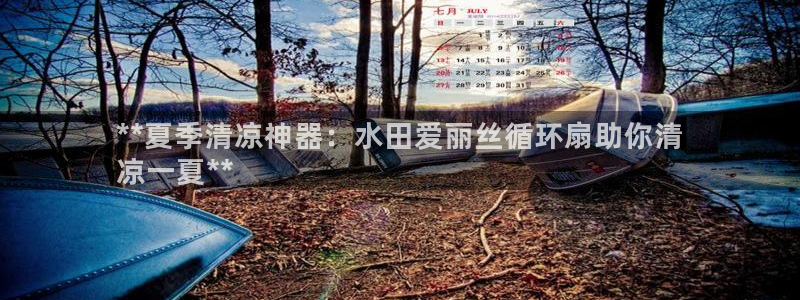 凯发k8娱乐官网网址中心：**夏季清凉神器：水田爱丽丝循环扇助你清
凉一夏**