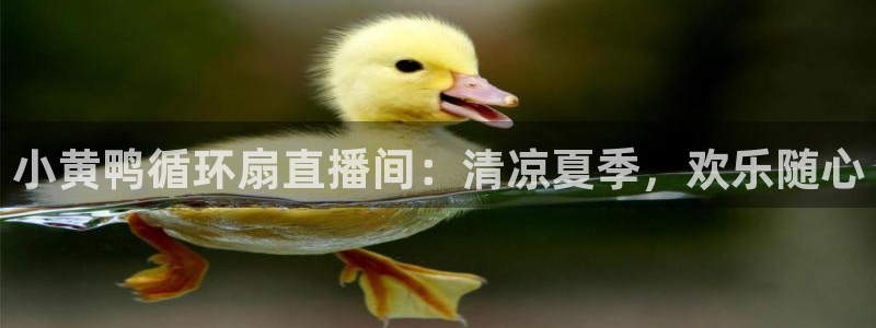 凯发国际网站官网：小黄鸭循环扇直播间：清凉夏季，欢乐随心