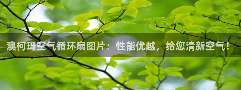 凯发k8娱乐品牌导航：澳柯玛空气循环扇图片：性能优越，给您清新空气！