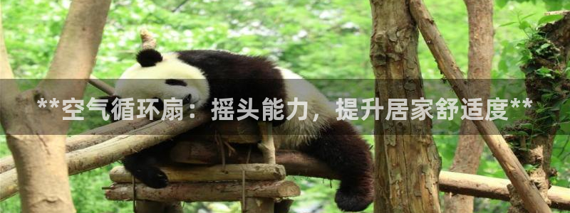 凯发k8官方网娱乐官方真：**空气循环扇：摇头能力，提升居家舒适度**