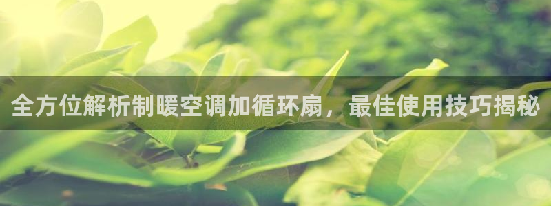 凯发旗舰网站：全方位解析制暖空调加循环扇，最佳使用技巧揭秘