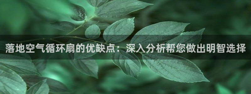 凯发k8旗舰厅app下载i来就送38元：落地空气循环扇的优缺点：深入分析帮您做出明智选择