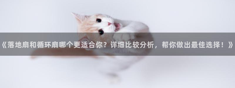 凯发k8手机是正品吗多少钱：《落地扇和循环扇哪个更适合你？详细比较分析，帮你做出最佳选择！》