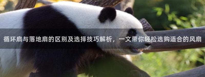 凯发首页登录：循环扇与落地扇的区别及选择技巧解析，一文带你轻松选购适合的风扇