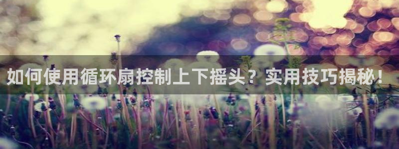 凯发最新官方app下载：如何使用循环扇控制上下摇头？实用技巧揭秘！