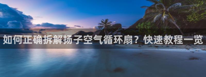凯发平台网址：如何正确拆解扬子空气循环扇？快速教程一览