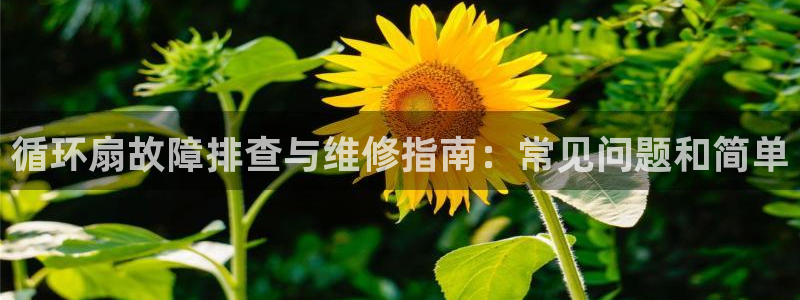 凯发k8官网下载客户端中心：循环扇故障排查与维修指南：常见问题和简单