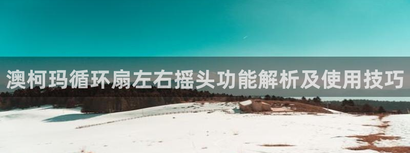凯发官网平台：澳柯玛循环扇左右摇头功能解析及使用技巧