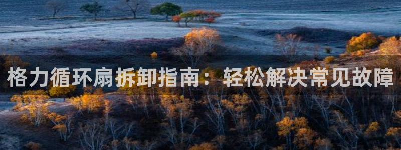 凯发线上客户端免费下载：格力循环扇拆卸指南：轻松解决常见故障