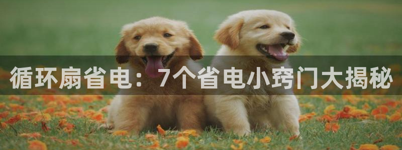 凯发平台k8：循环扇省电：7个省电小窍门大揭秘