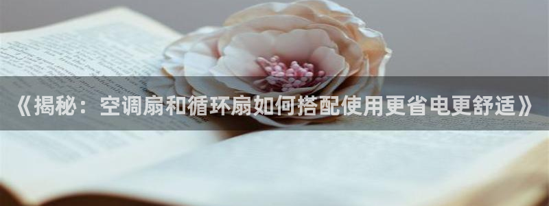 凯发k8国际注册：《揭秘：空调扇和循环扇如何搭配使用更省电更舒适》