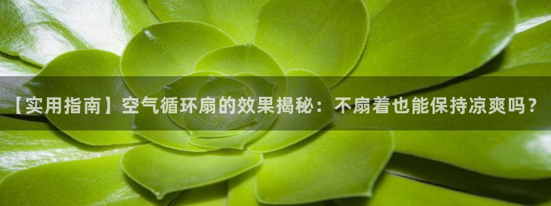 凯发官方网站下载：【实用指南】空气循环扇的效果揭秘：不扇着也能保持凉爽吗？