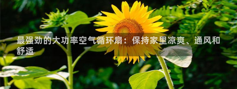 凯发国际网络平台网址：最强劲的大功率空气循环扇：保持家里凉爽、通风和
舒适