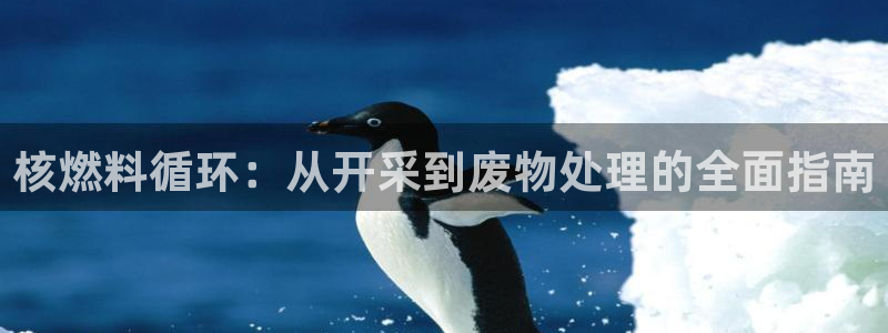 凯发k8国际真人娱乐手机app：核燃料循环：从开采到废物处理的全面指南