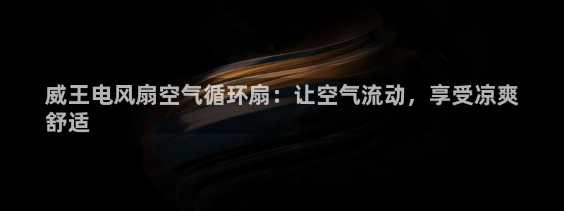 凯发k8旗舰厅手机app下载：威王电风扇空气循环扇：让空气流动，享受凉爽
舒适
