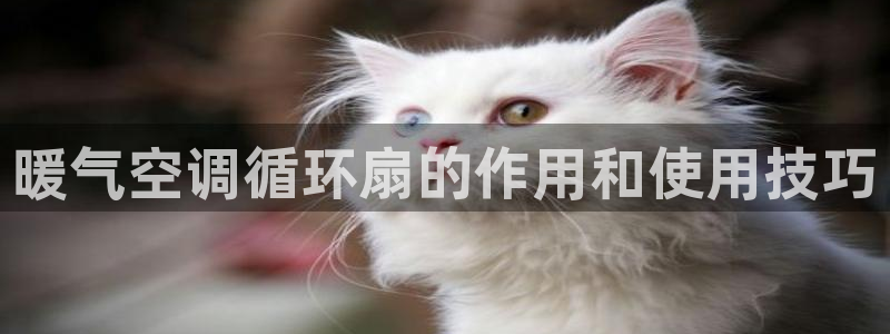 凯发国际k8官网登录：暖气空调循环扇的作用和使用技巧