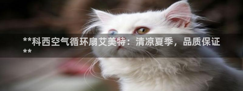 凯发官网网址多少：**科西空气循环扇艾美特：清凉夏季，品质保证
**