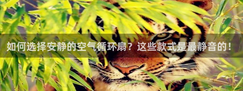 凯发官方网站是多少：如何选择安静的空气循环扇？这些款式是最静音的！