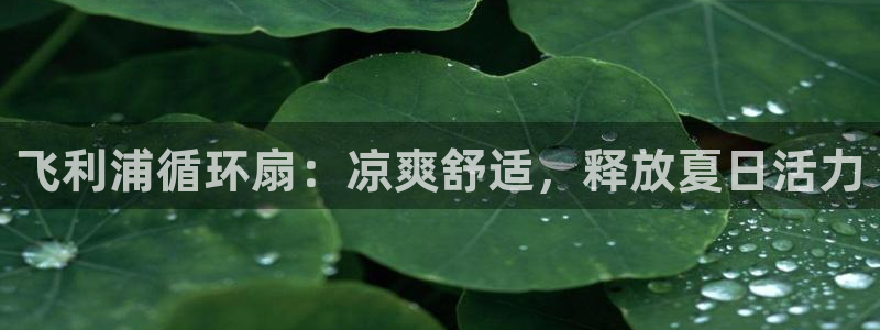 凯发最新官方app下载：飞利浦循环扇：凉爽舒适，释放夏日活力