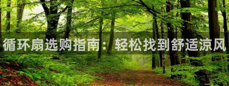 凯发k8天生赢家·一触即发：循环扇选购指南：轻松找到舒适涼风