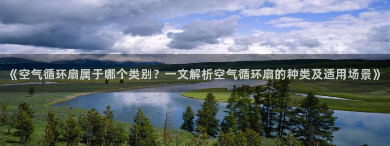 凯发k8国际app：《空气循环扇属于哪个类别？一文解析空气循环扇的种类及适用场景》