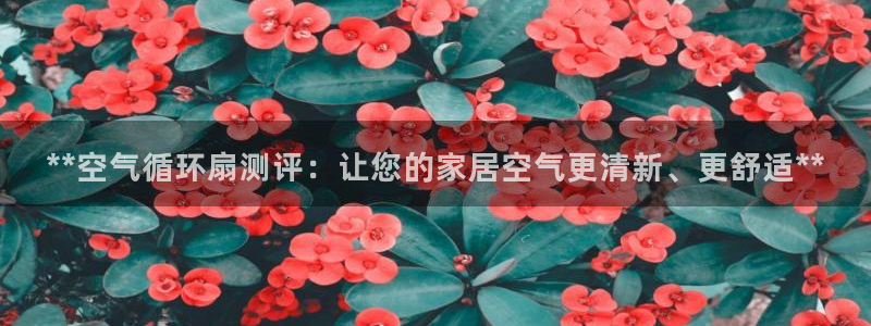 凯发平台开户：**空气循环扇测评：让您的家居空气更清新、更舒适**