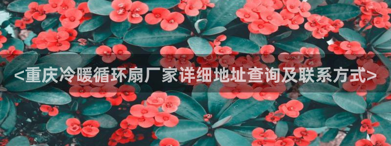 凯发k8官方网娱乐官方真：<重庆冷暖循环扇厂家详细地址查询及联系方式>