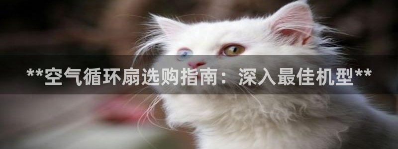 凯发国际网络平台网址：**空气循环扇选购指南：深入最佳机型**