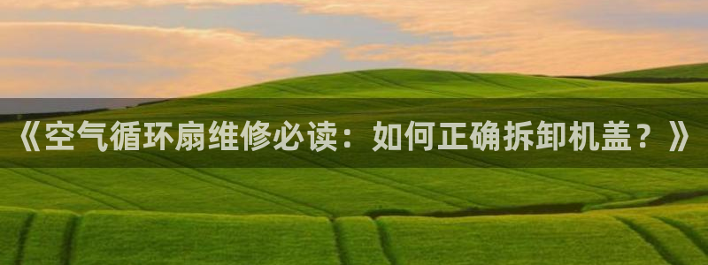 凯发手机官网客户端：《空气循环扇维修必读：如何正确拆卸机盖？》