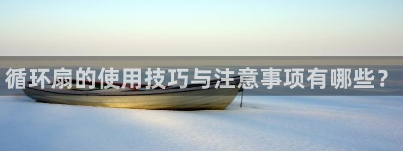 凯发k8登录首页：循环扇的使用技巧与注意事项有哪些？