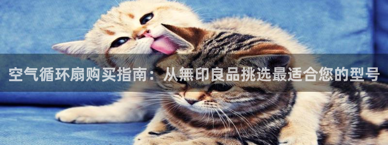 凯发k8旗舰厅手机下载：空气循环扇购买指南：从無印良品挑选最适合您的型号
