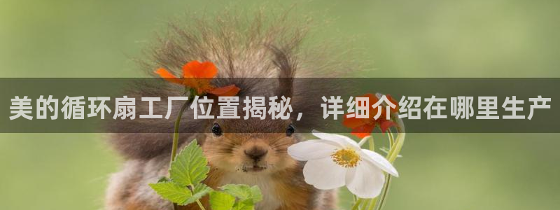 凯发k8国际app：美的循环扇工厂位置揭秘，详细介绍在哪里生产