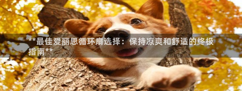 凯发网址多少：**最佳爱丽思循环扇选择：保持凉爽和舒适的终极
指南**