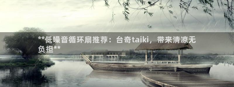 凯发网官网：**低噪音循环扇推荐：台奇taiki，带来清凉无
负担**