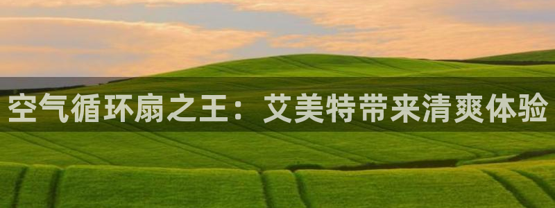 凯发官网手机app：空气循环扇之王：艾美特带来清爽体验